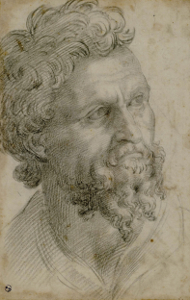 Рис. 5. Челлини (?), Бенвенуто. (1500-1571). «Портрет неизвестного с бородой». Графит, бумага. 28,3х18,5 см. Библиотека Реале, Турин.